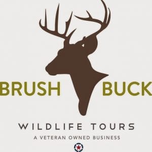 Brushbuck Wildlife Tours