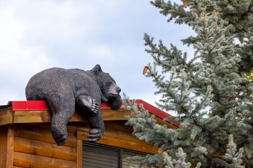 A sculpture of a lounging black bear on the red roof of a log cabin at Snake River Cabins.