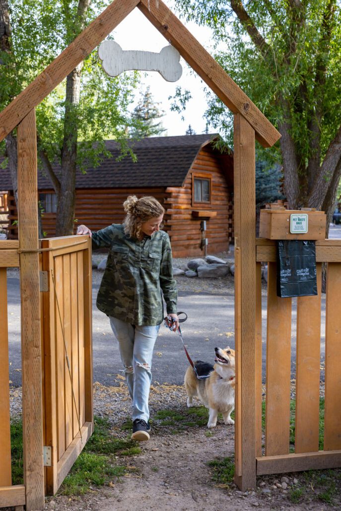 A woman and her leashed corgi walk into a fenced dog park.